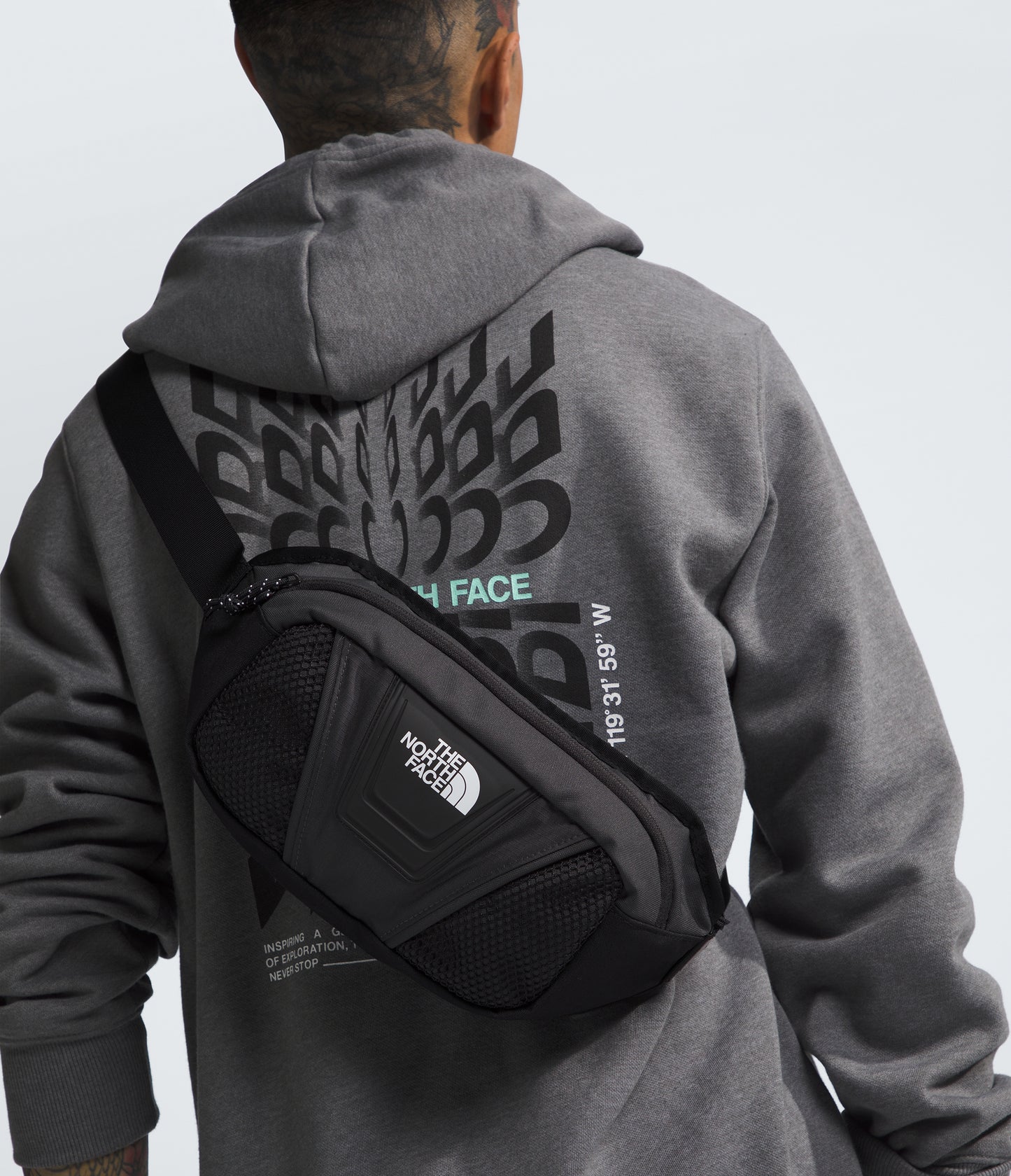 Bags - THE NORTH FACE - Y2K Hip Pack - PLENTY