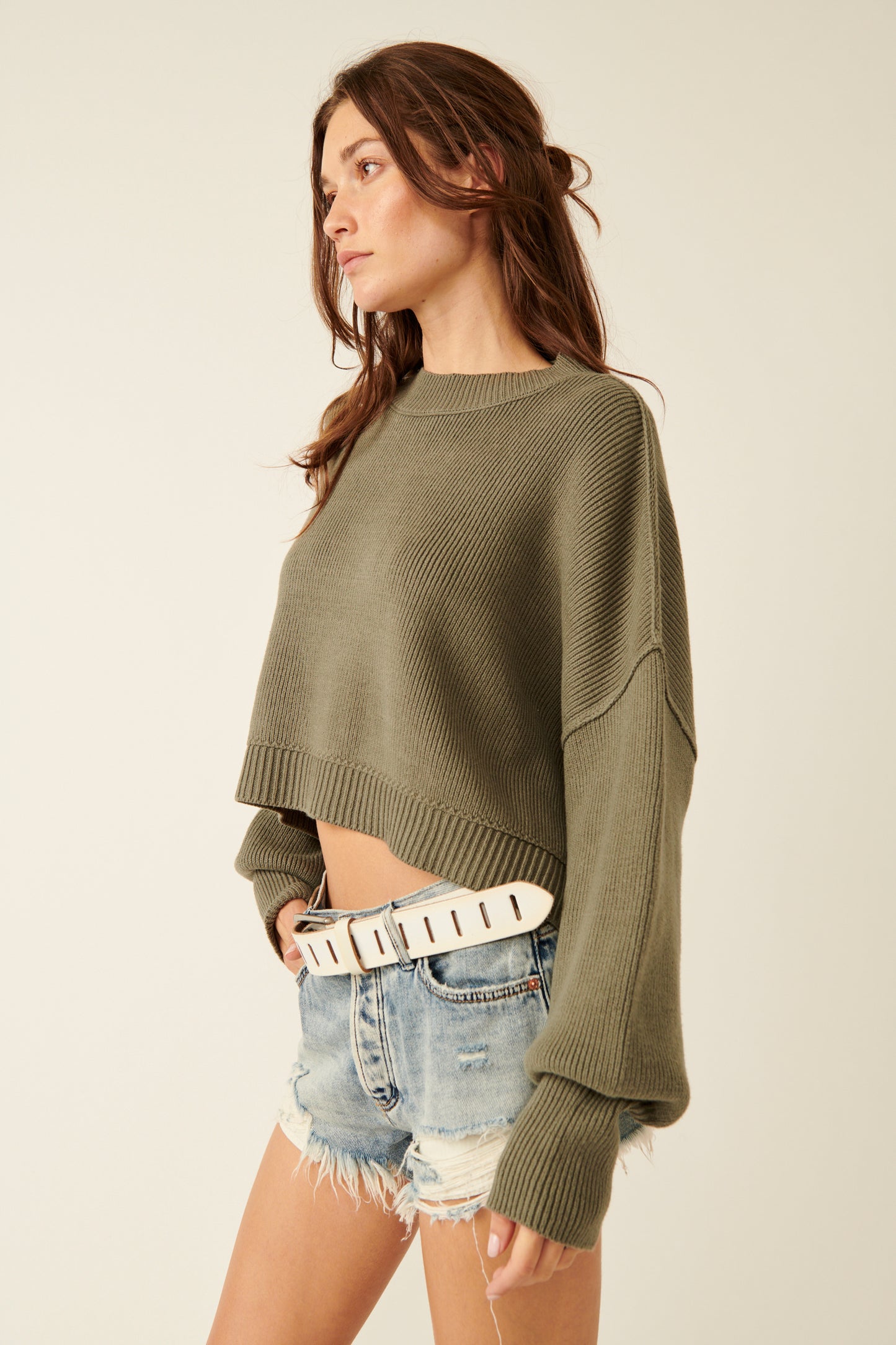 Sweater - FREE PEOPLE - Easy Street Crop Pullover - PLENTY