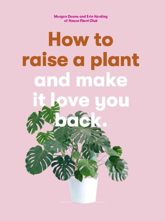 RAINCOAST - How to Raise a Plant - How to Raise a Plant