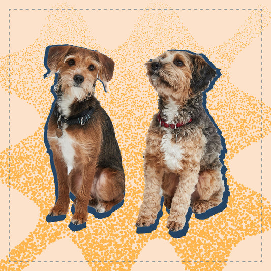 Calling All Good Dogs