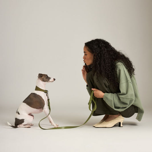 Calling All Good Dogs