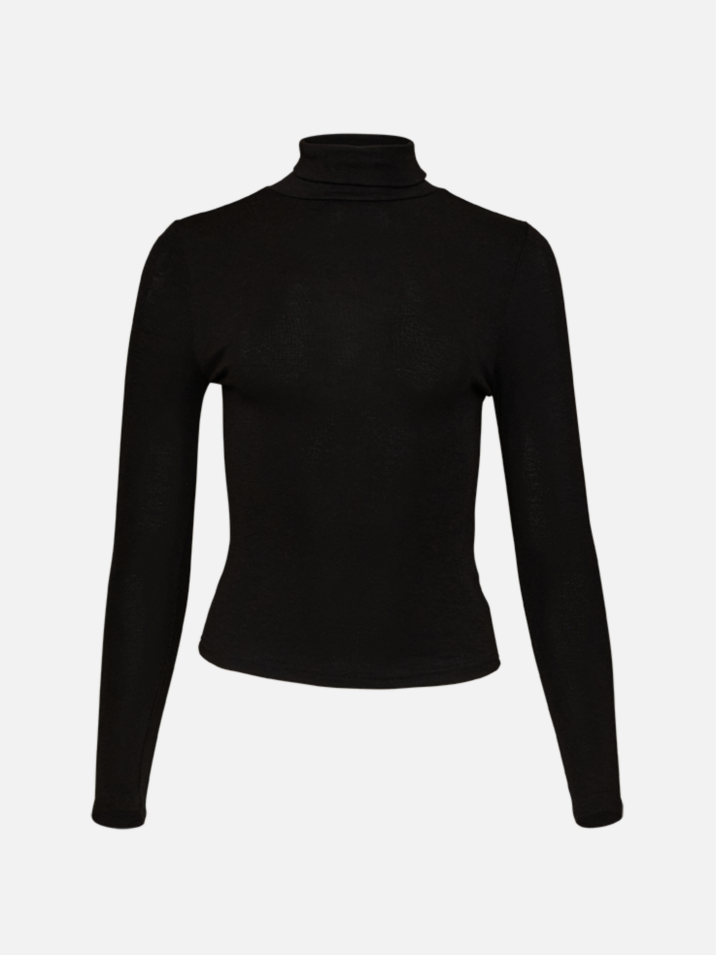 Rosa Sheer Longsleeve Turtleneck