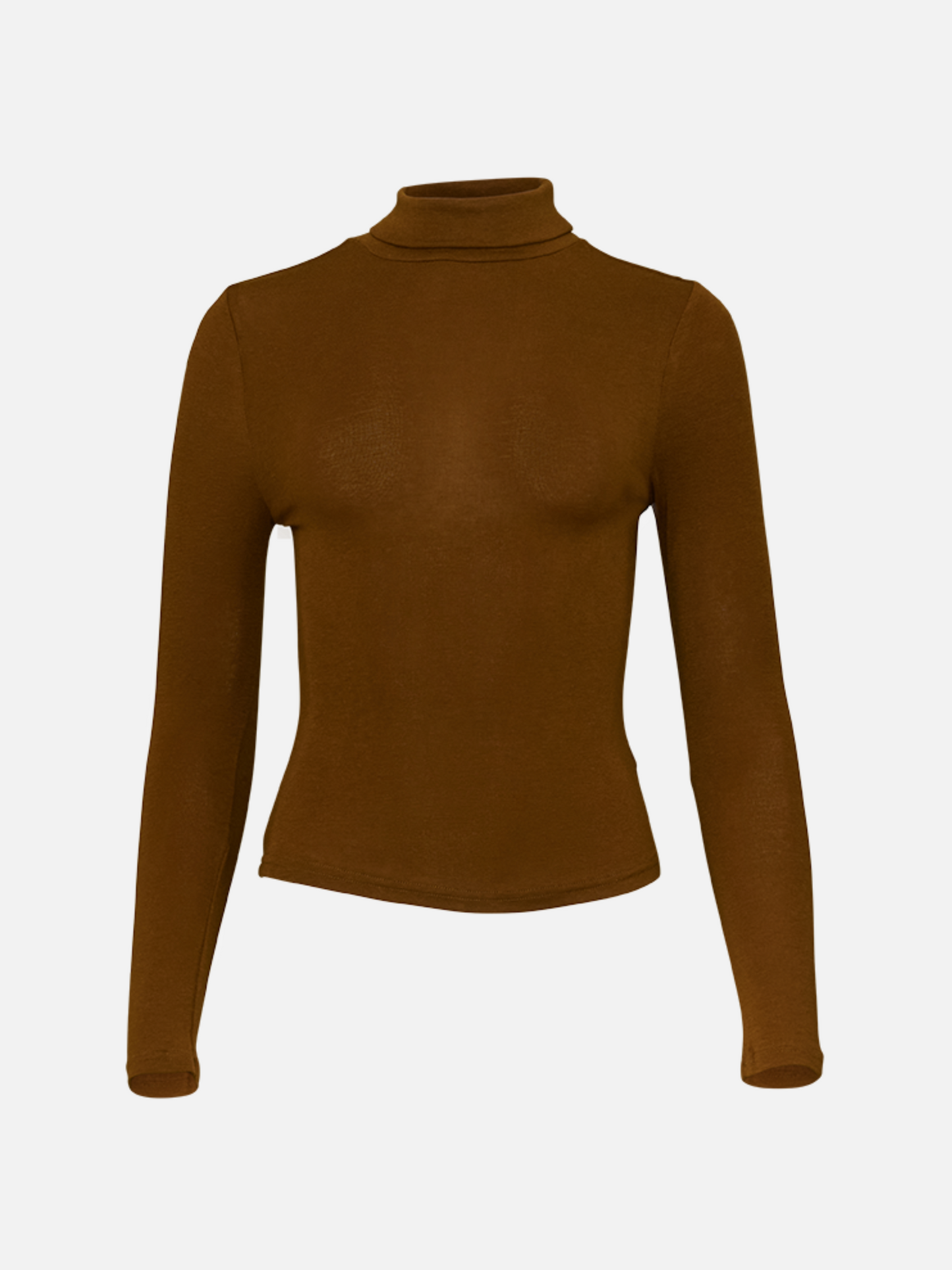 Rosa Sheer Longsleeve Turtleneck