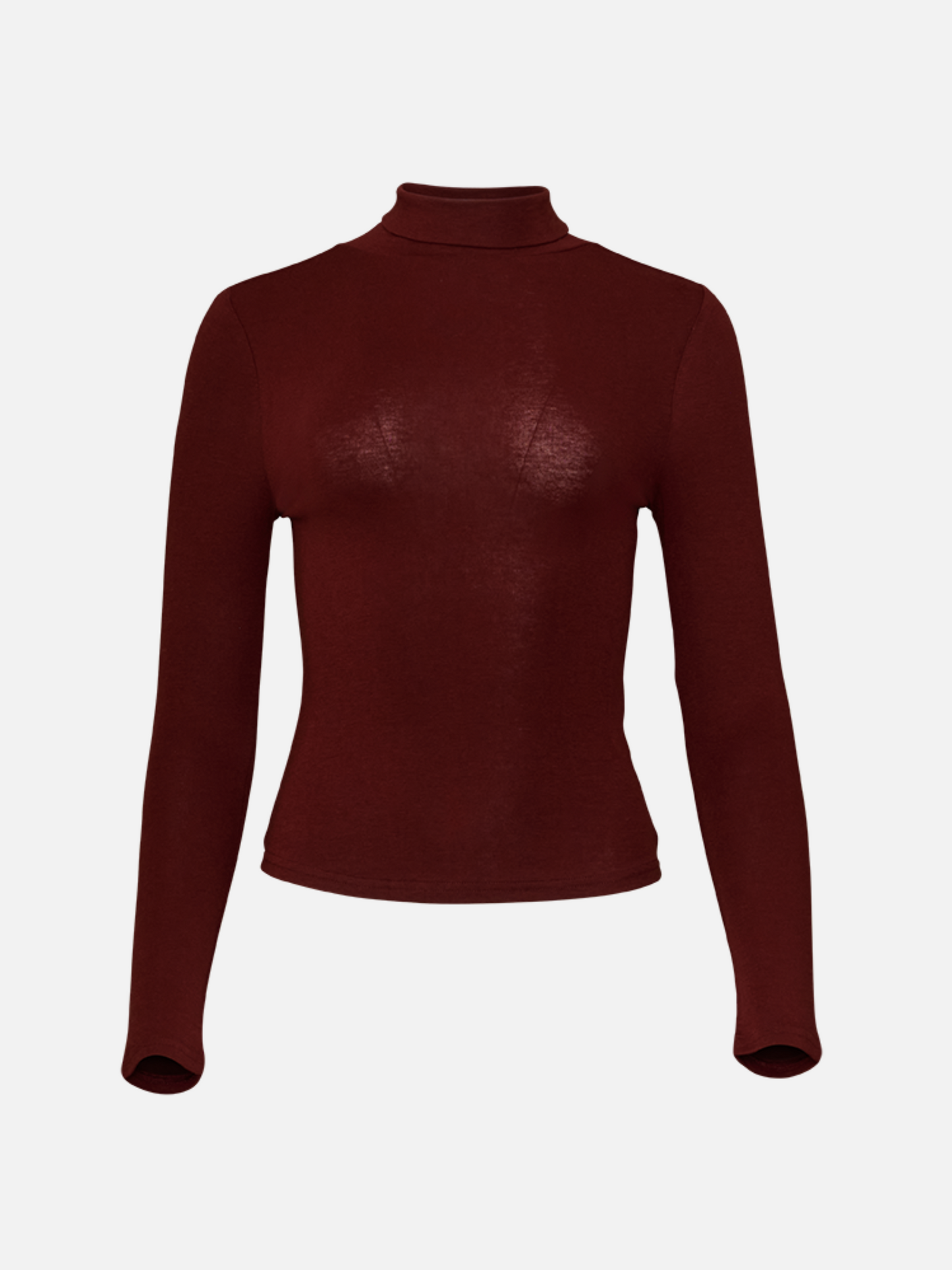 Rosa Sheer Longsleeve Turtleneck
