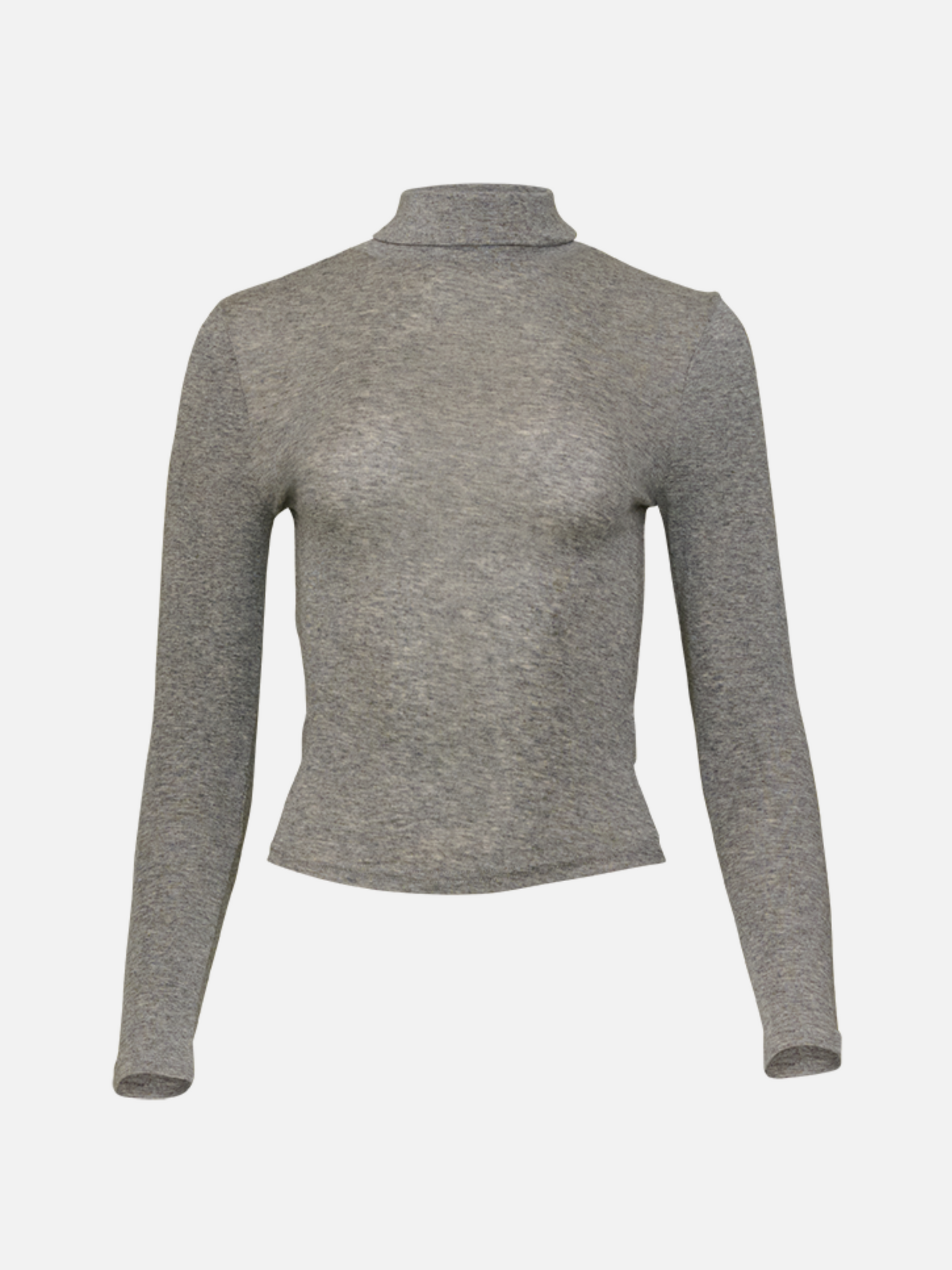 Rosa Sheer Longsleeve Turtleneck