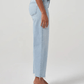 AGOLDE - Ren Hi Rise Wide Leg Jean - Beam