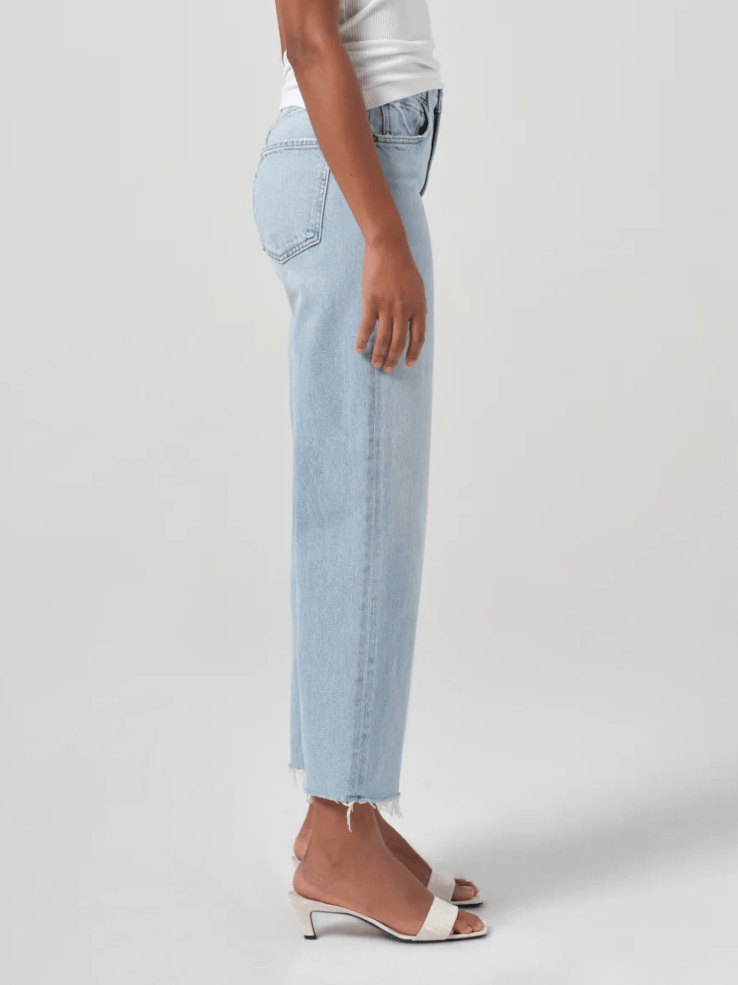 AGOLDE - Ren Hi Rise Wide Leg Jean - Beam