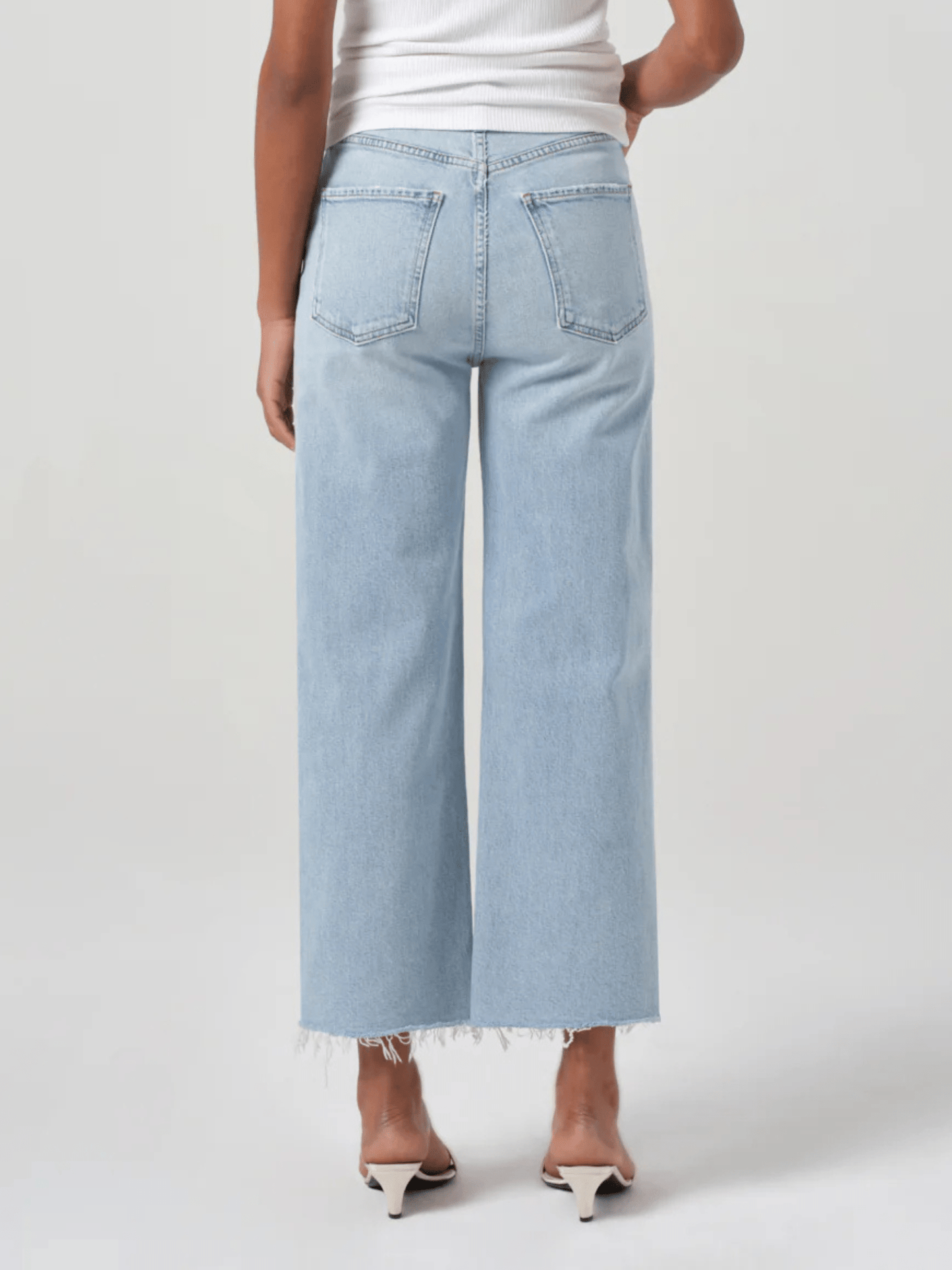AGOLDE - Ren Hi Rise Wide Leg Jean - Beam