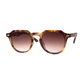AJ MORGAN Accessories Tortoise B. Henley Sunnies