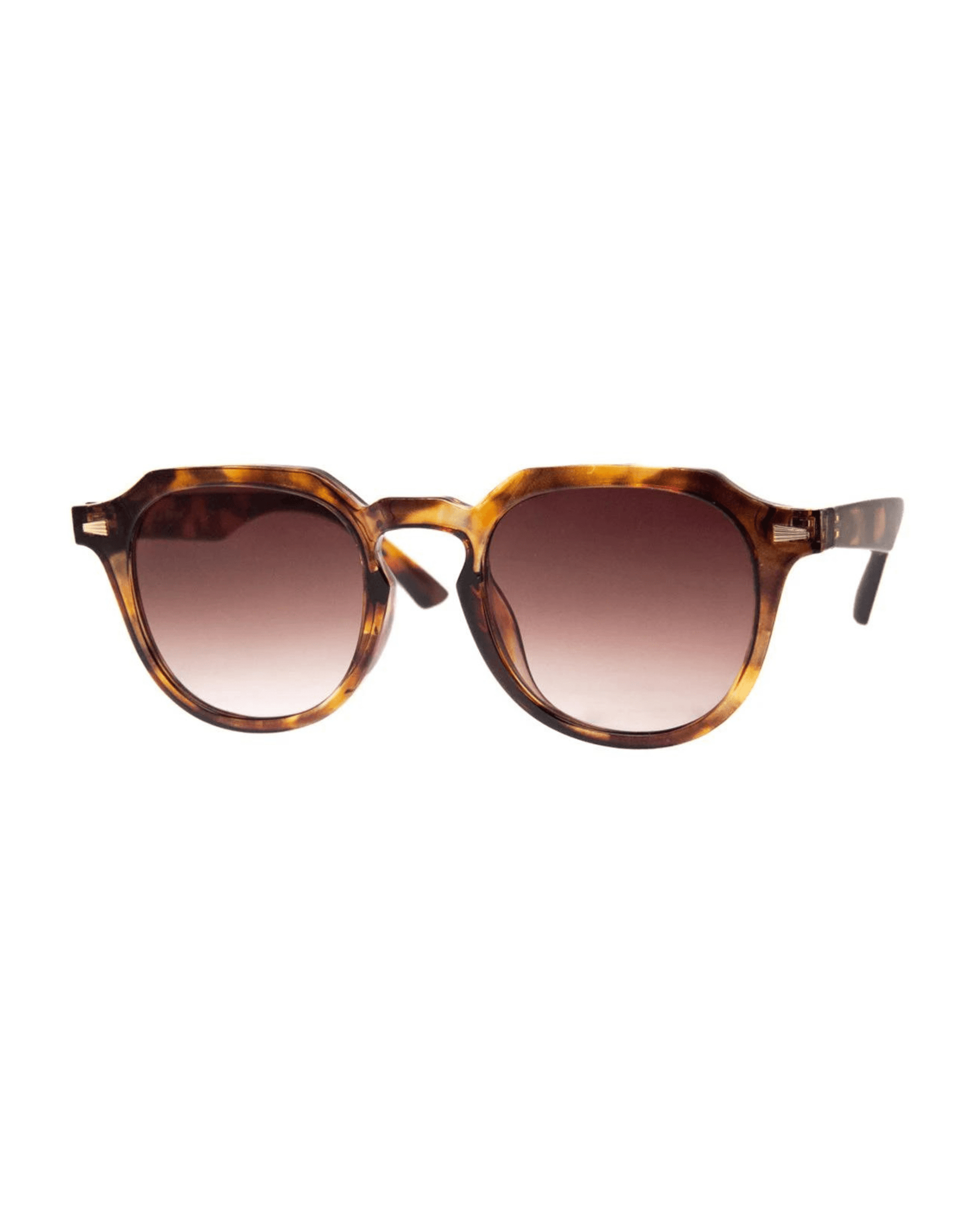 AJ MORGAN Accessories Tortoise B. Henley Sunnies