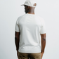 Basic Raglan T-Shirt