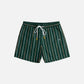 CHAMPLAIN - Day Shorts - Green / White / Yellow Striped
