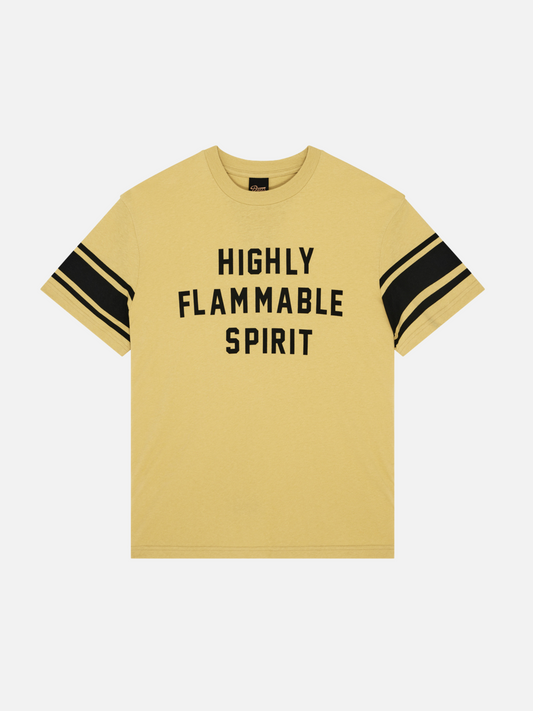 Flammable T-Shirt