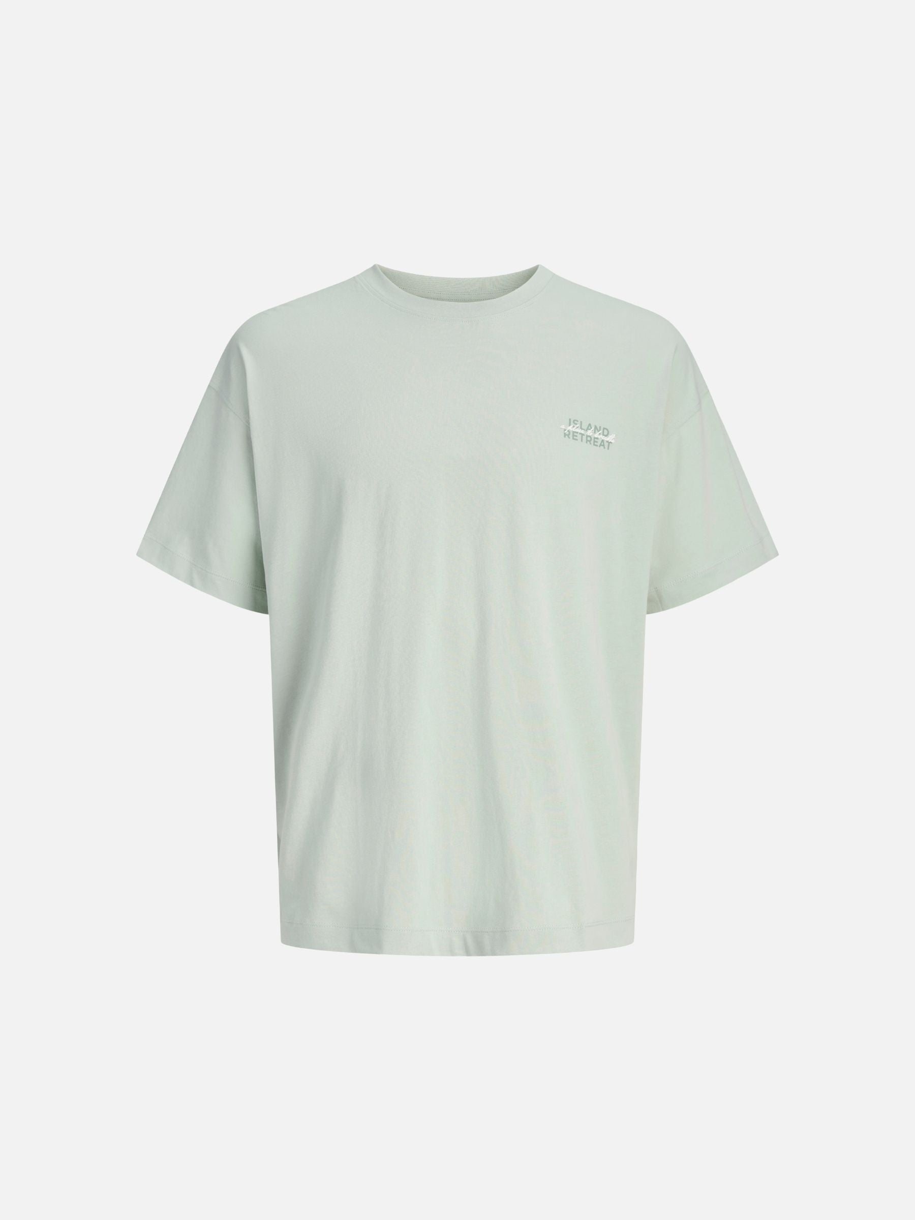 JACK & JONES - Eterna Shortsleeve Graphic T-Shirt - Aqua Grey