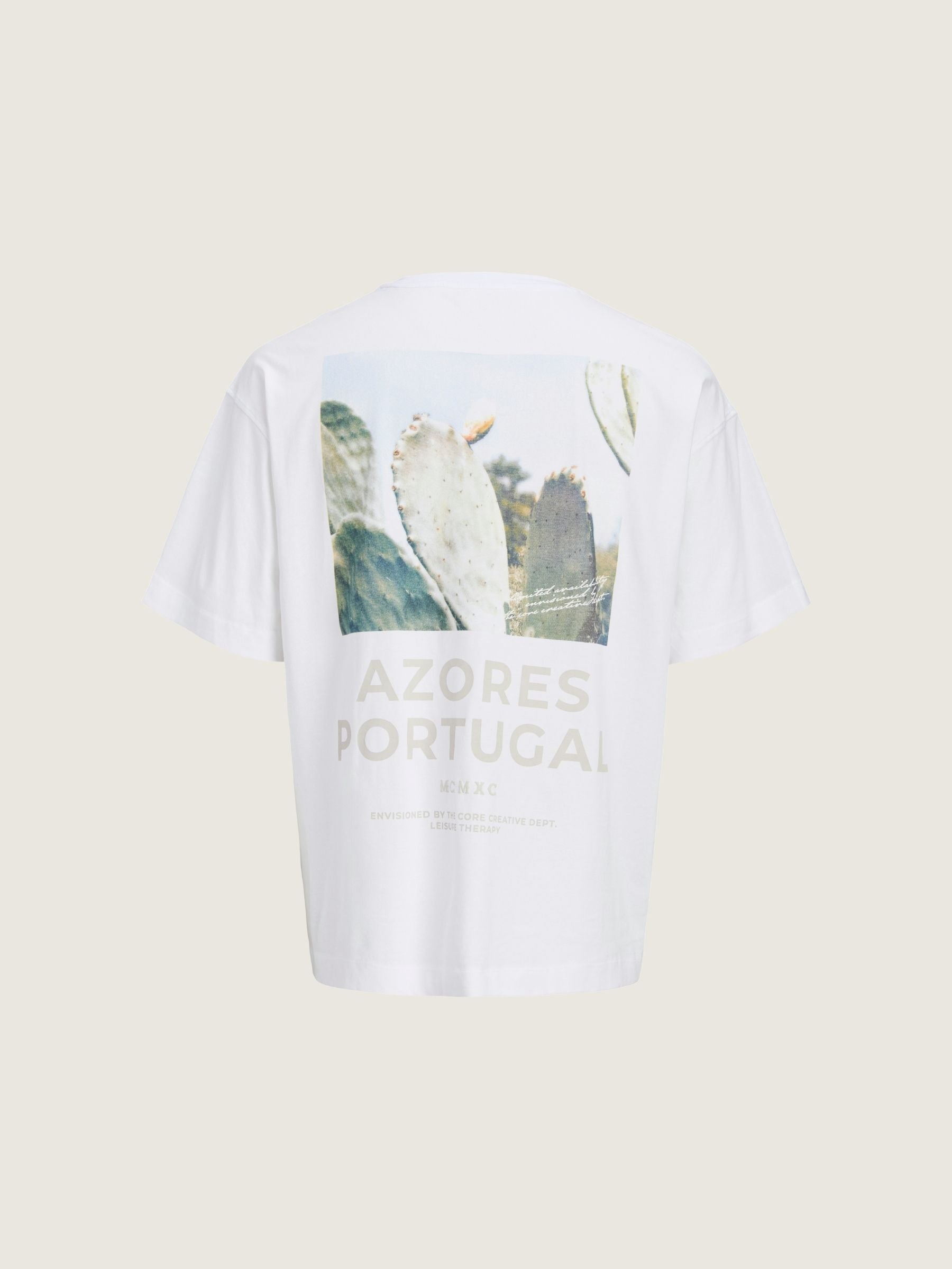 JACK & JONES - Eterna Shortsleeve Graphic T-Shirt - 