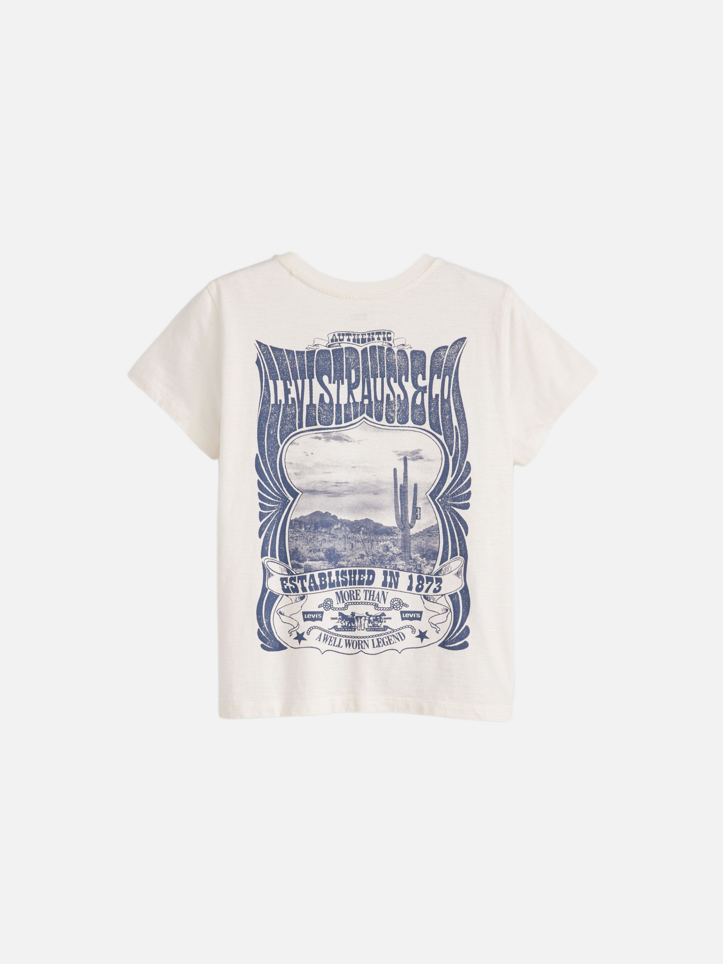 Canyon Poster Boxy T-Shirt
