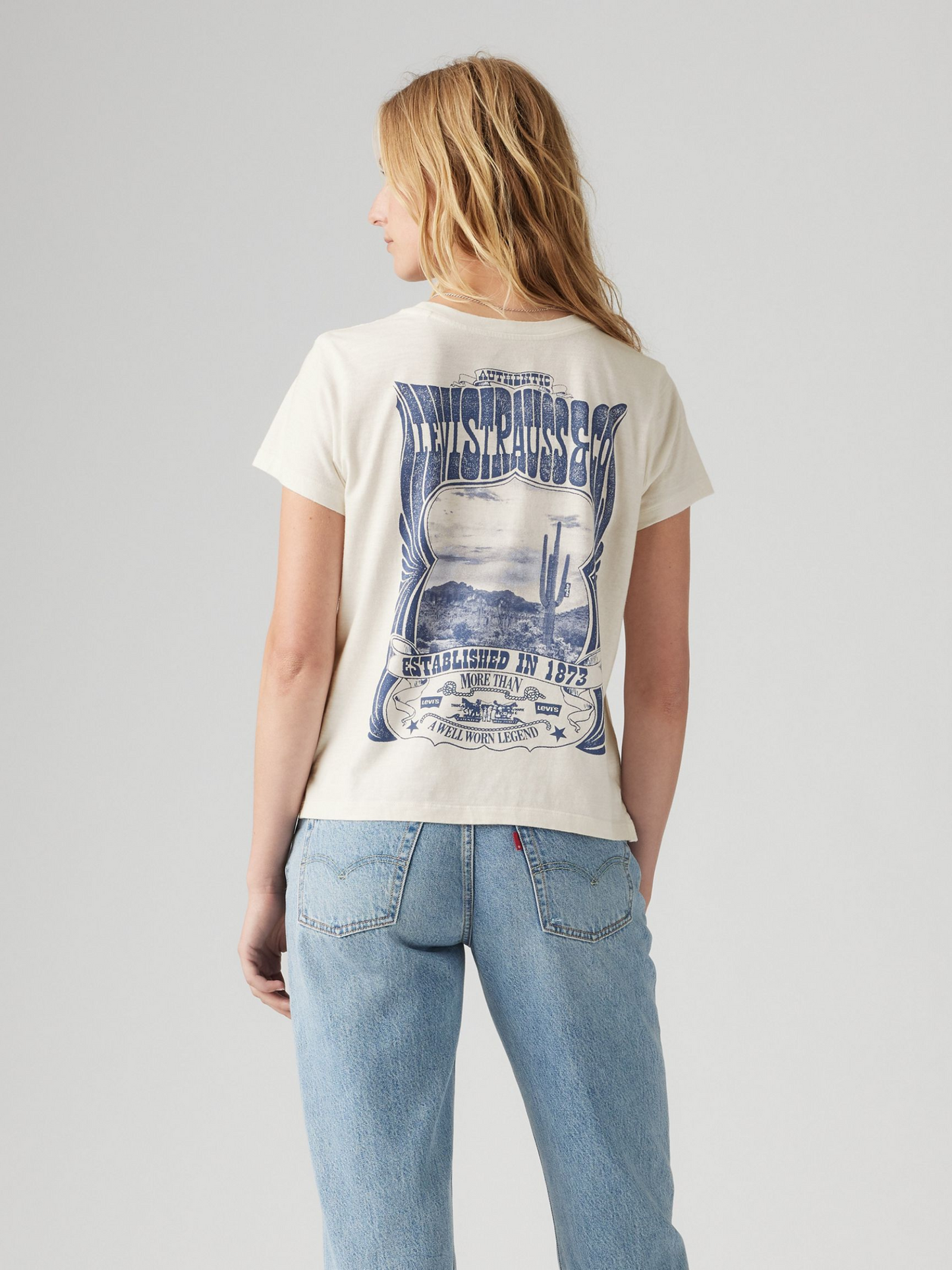 Canyon Poster Boxy T-Shirt