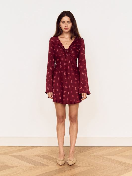 Aries Mini Dress