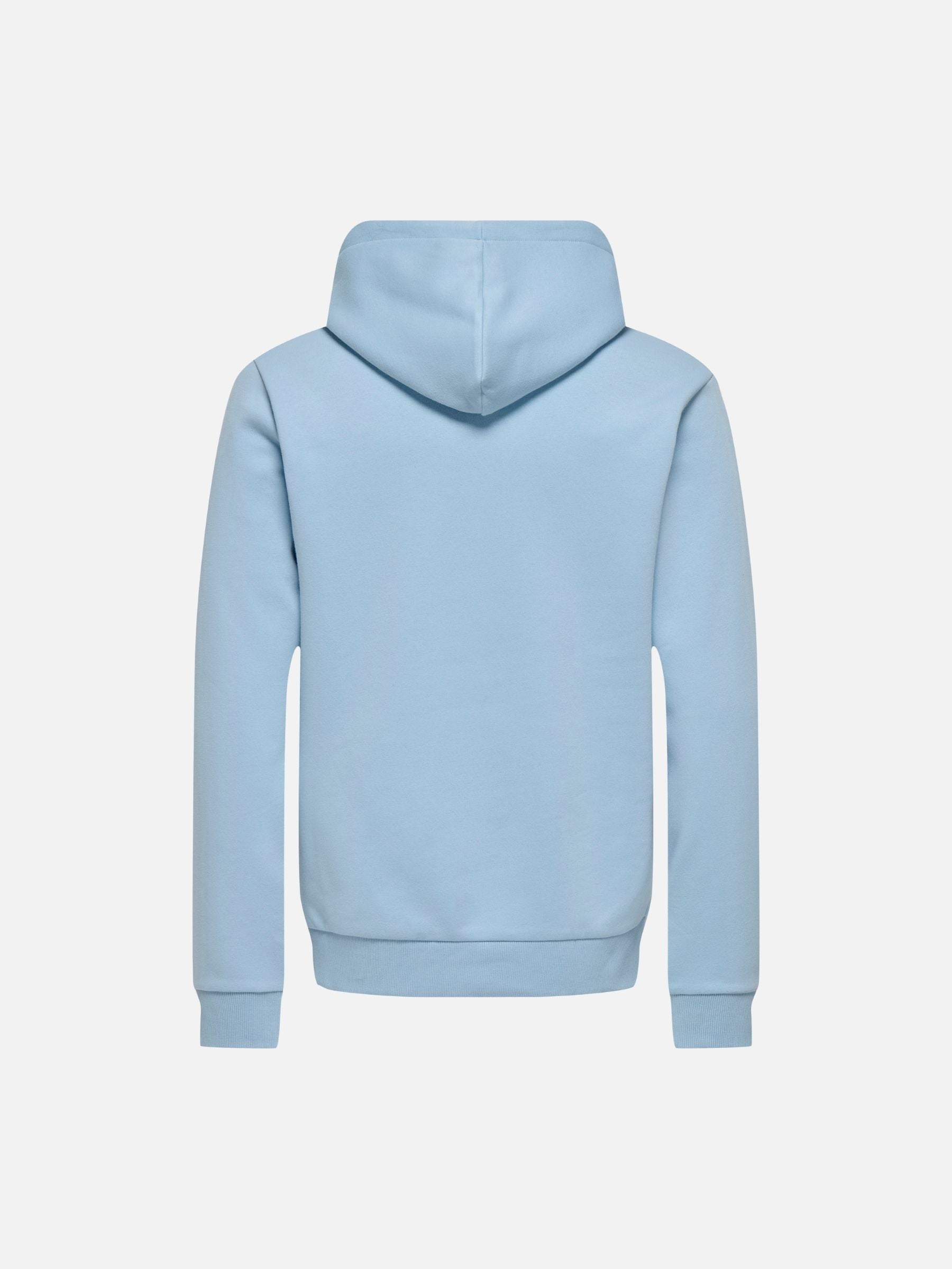 ONLY & SONS - Ceres Pullover Hoodie - 