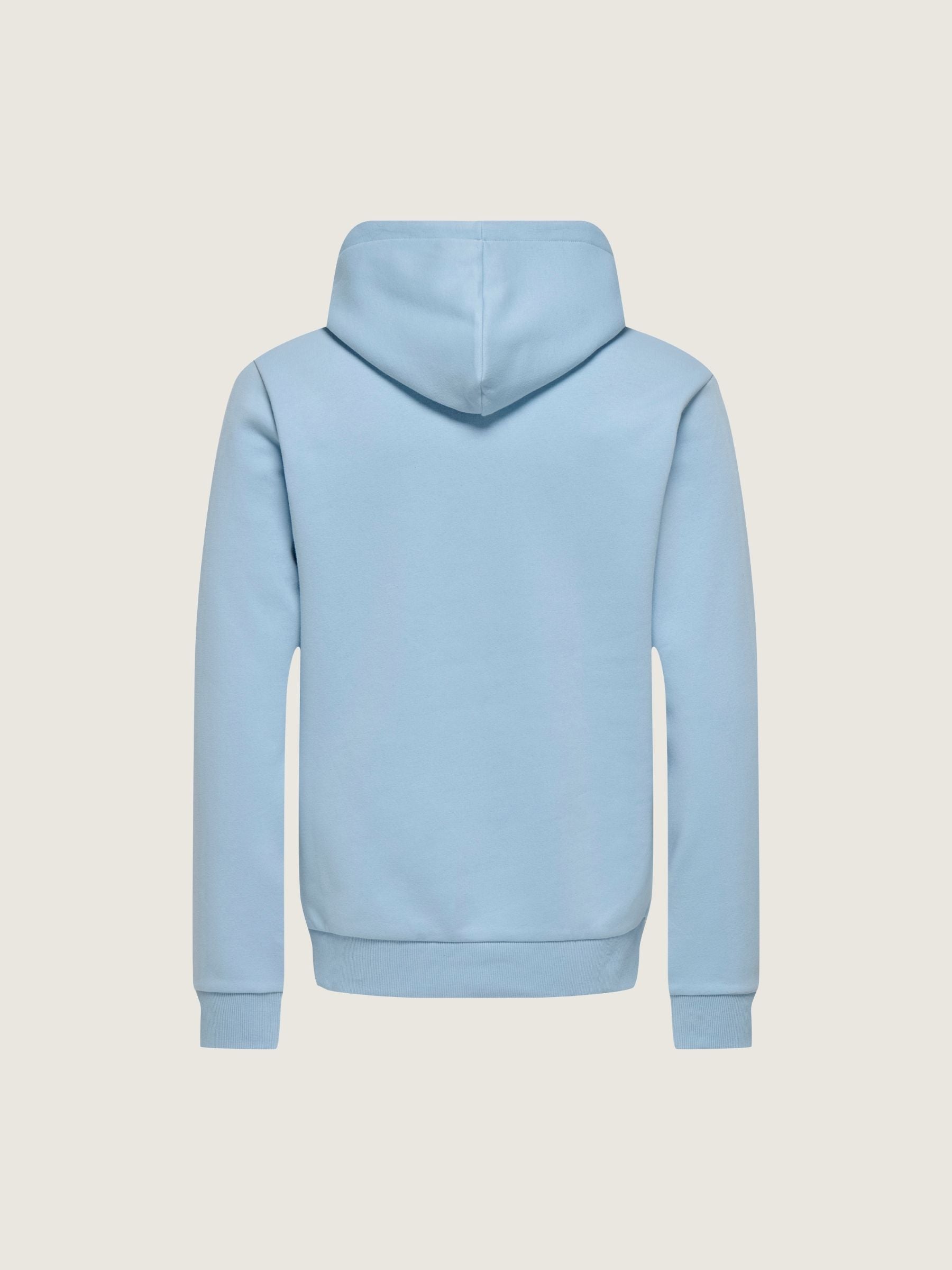 ONLY & SONS - Ceres Pullover Hoodie - 