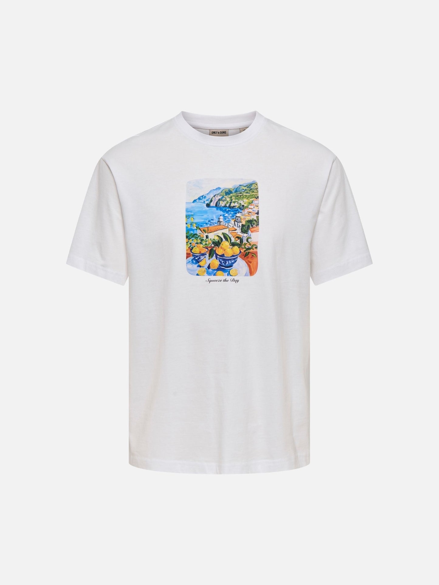 ONLY & SONS - Fred Painting Graphic Shortsleeve T-Shirt - White Squeeze