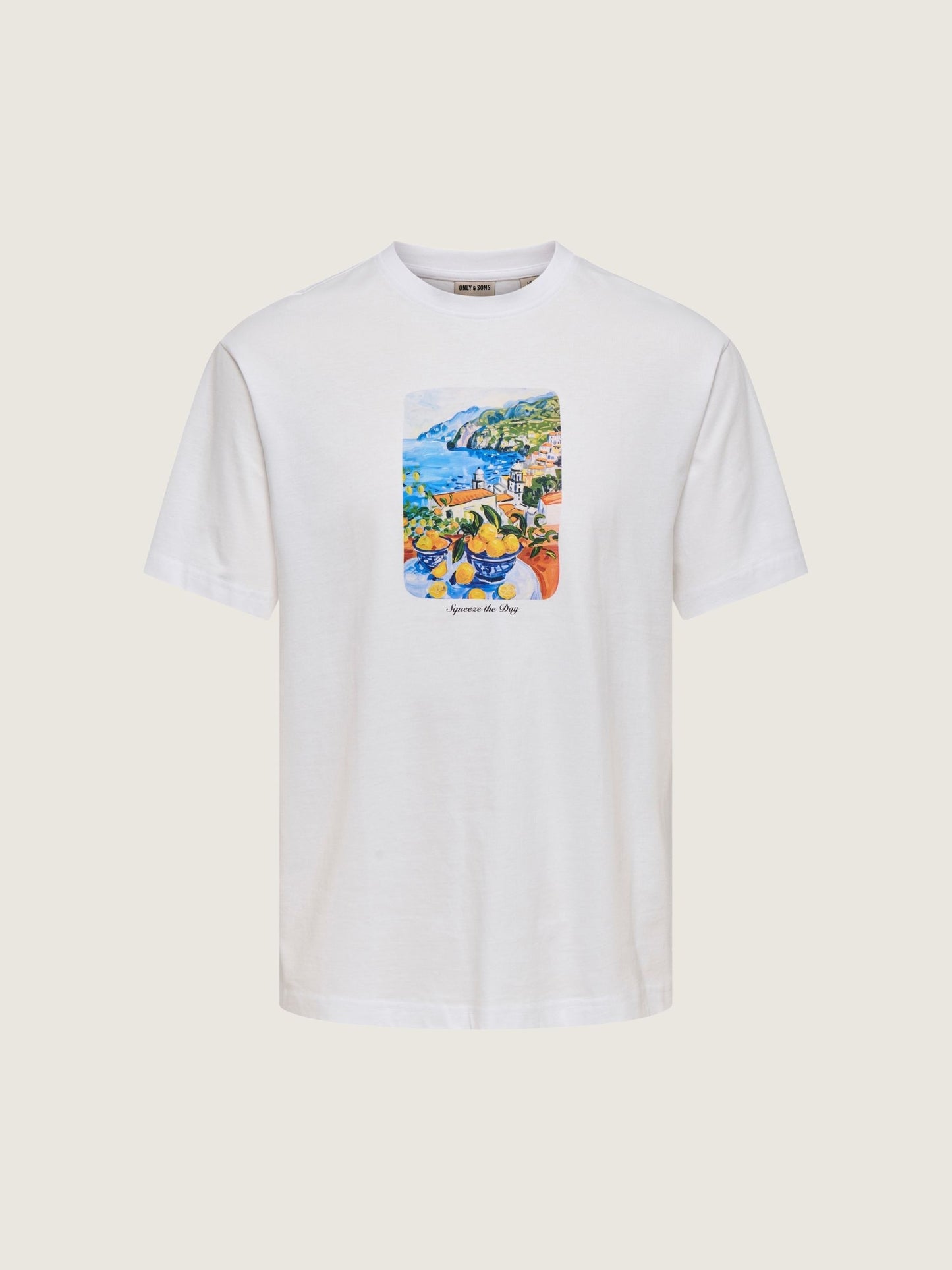 ONLY & SONS - Fred Painting Graphic Shortsleeve T-Shirt - White Squeeze
