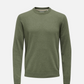 Rex Crewneck Knit