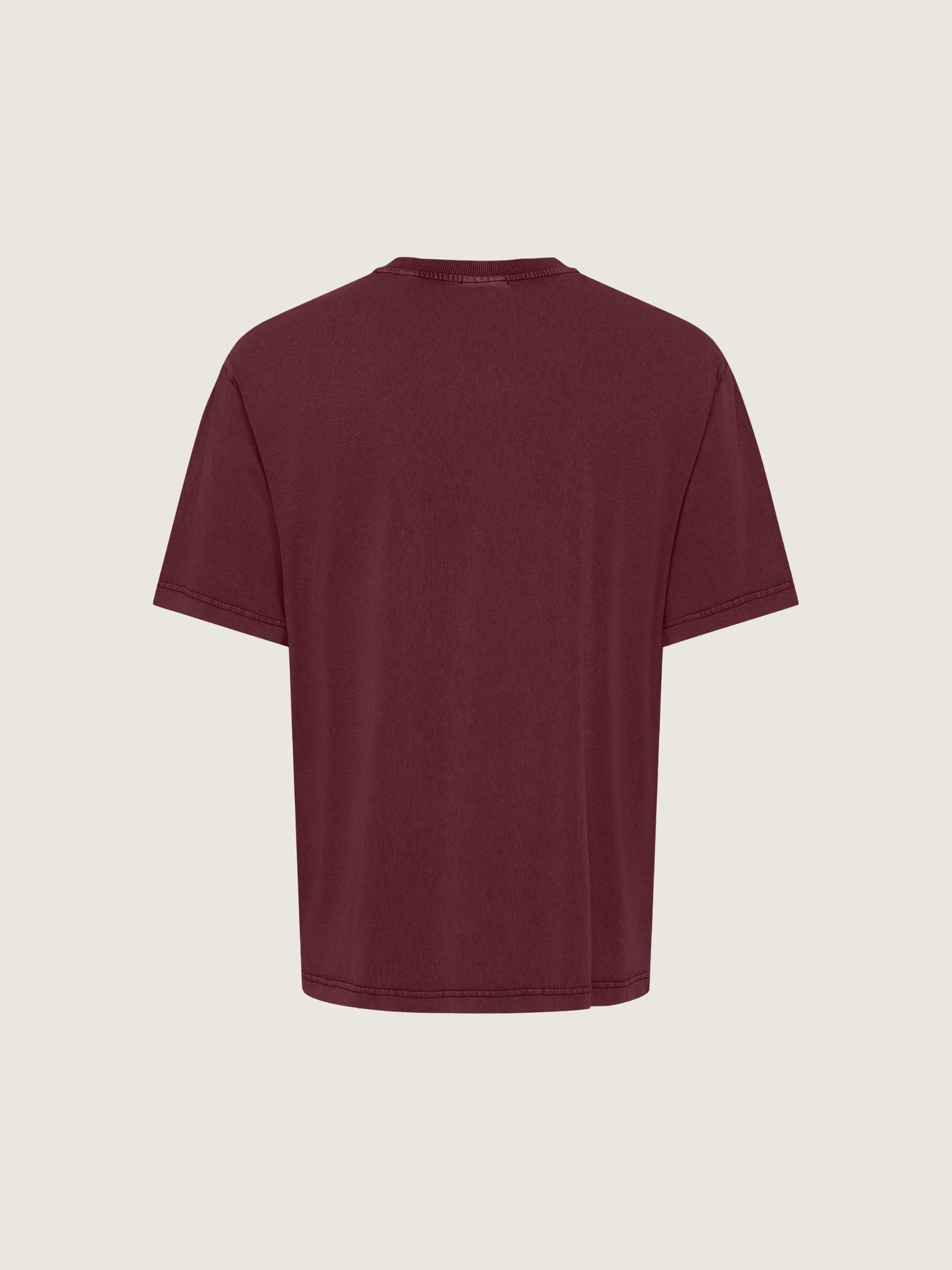 ONLY & SONS - Fred Relaxed Washed Shortsleeve T-Shirt - 