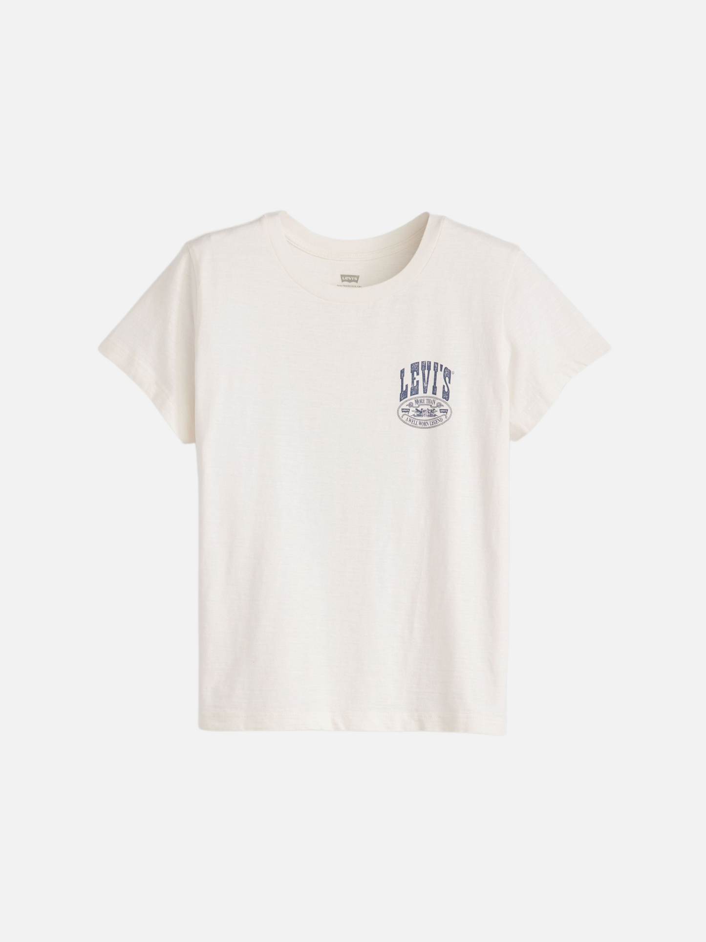 Canyon Poster Boxy T-Shirt