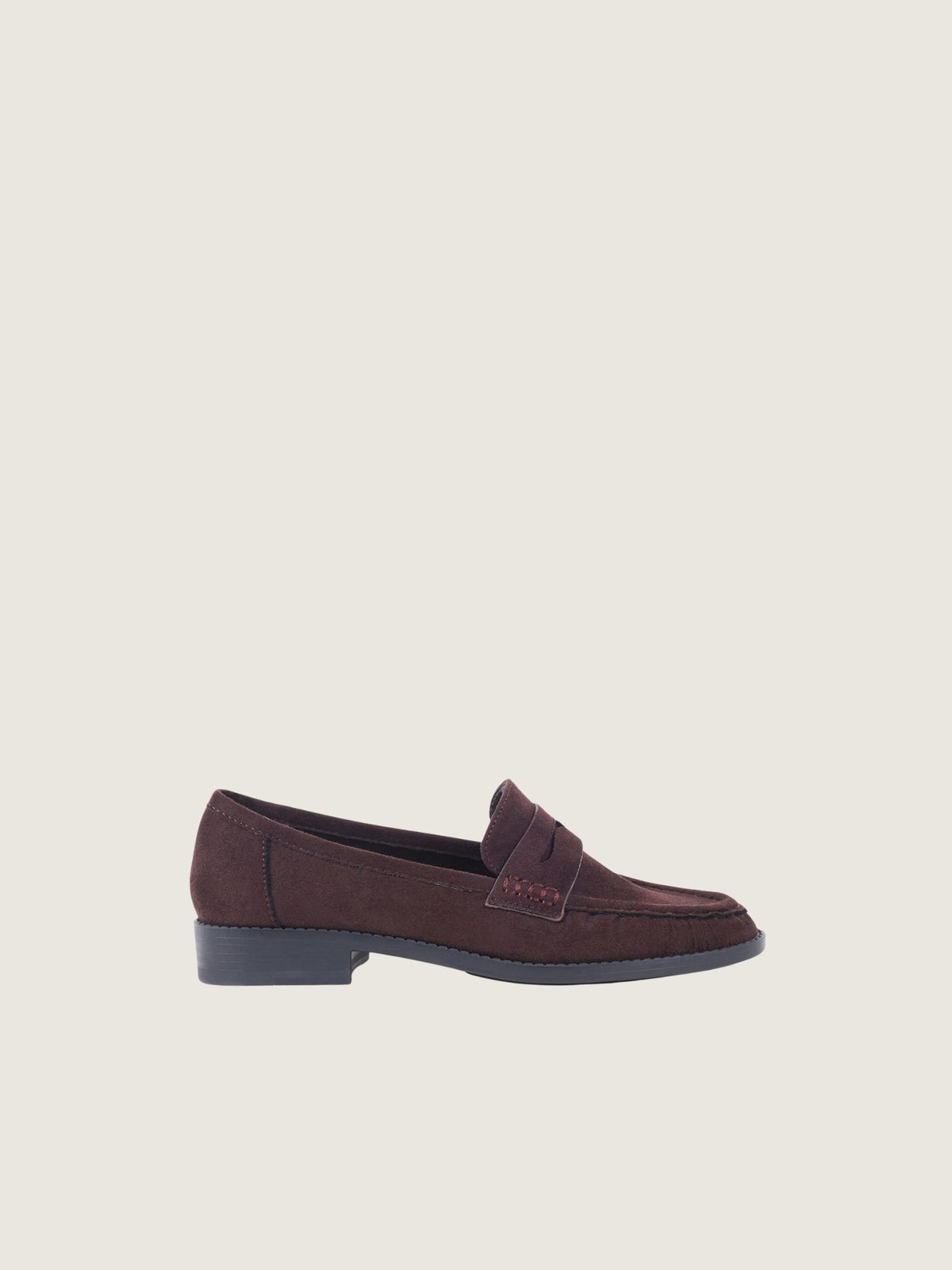 STEVE MADDEN - Creative Loafers - Brown