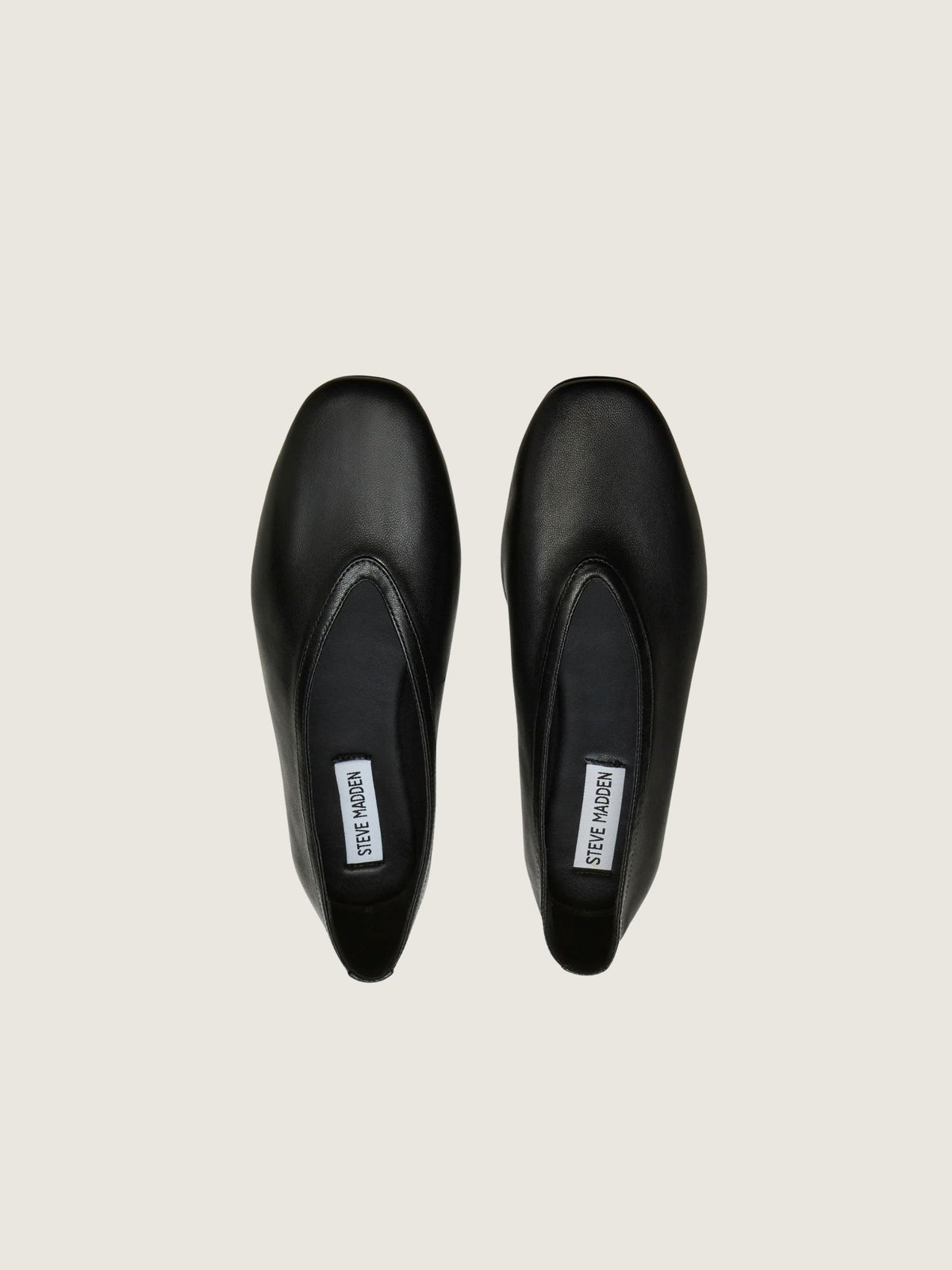 STEVE MADDEN - Leni Leather Flats - 