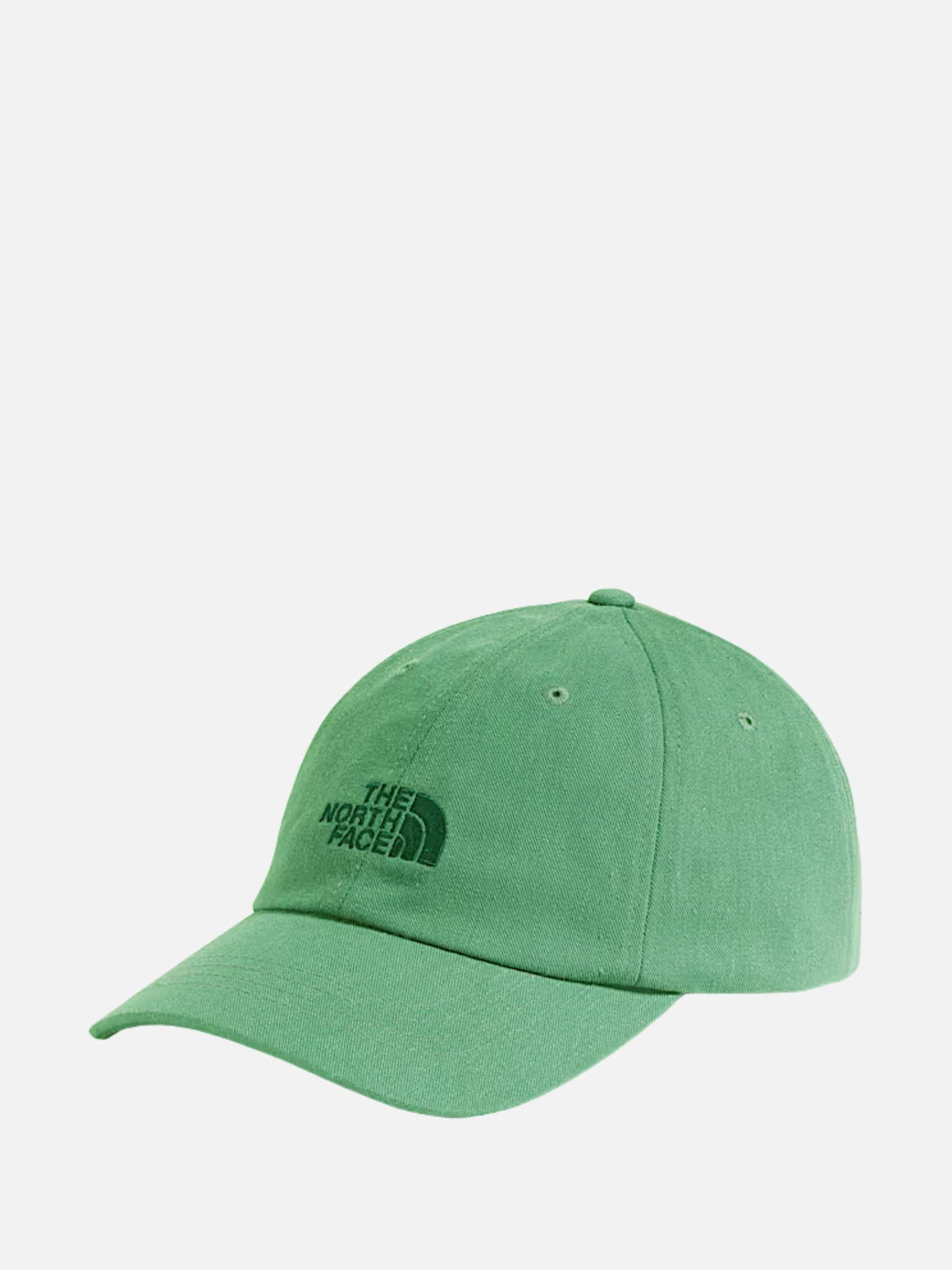 THE NORTH FACE - Norm Hat - Dimmed Algae