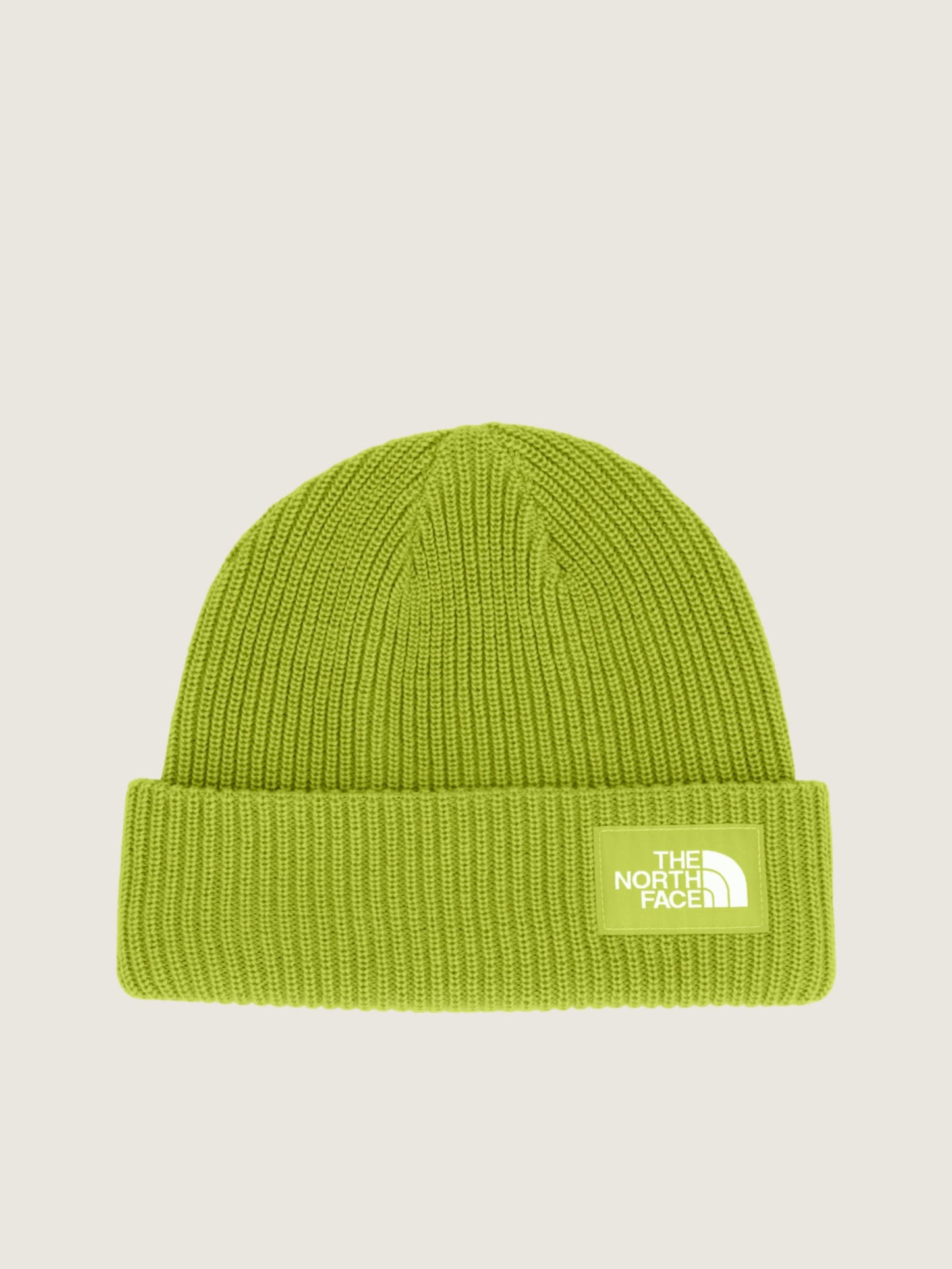 Salty Lined Beanie