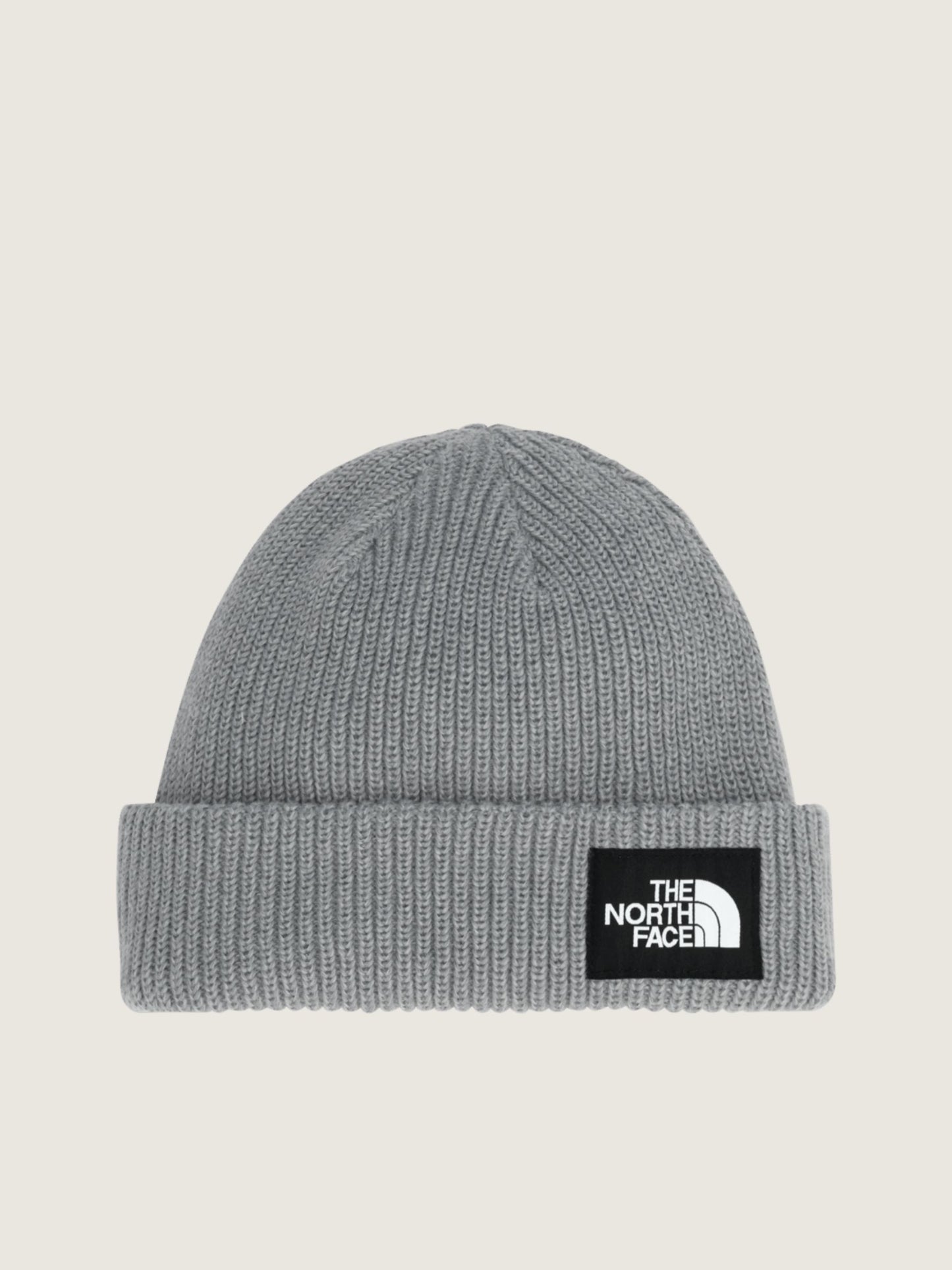 THE NORTH FACE - Salty Lined Beanie - 