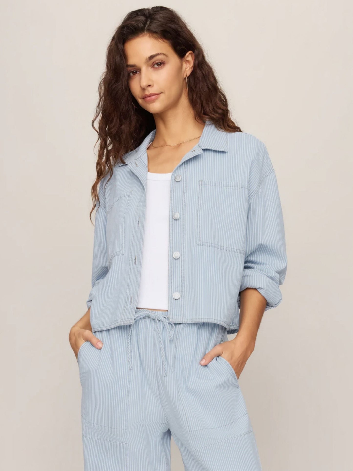 Z SUPPLY - Erin Railroad Jacket - 