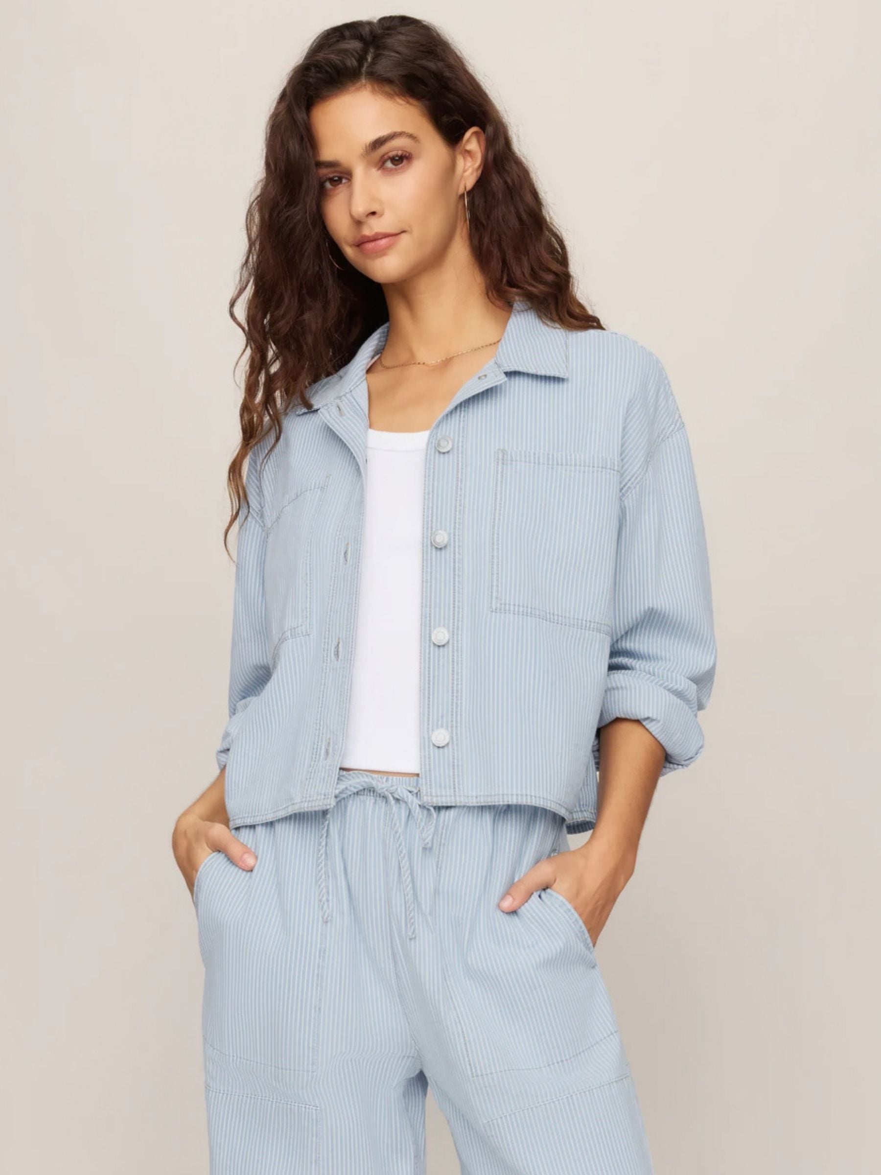 Z SUPPLY - Erin Railroad Jacket - 